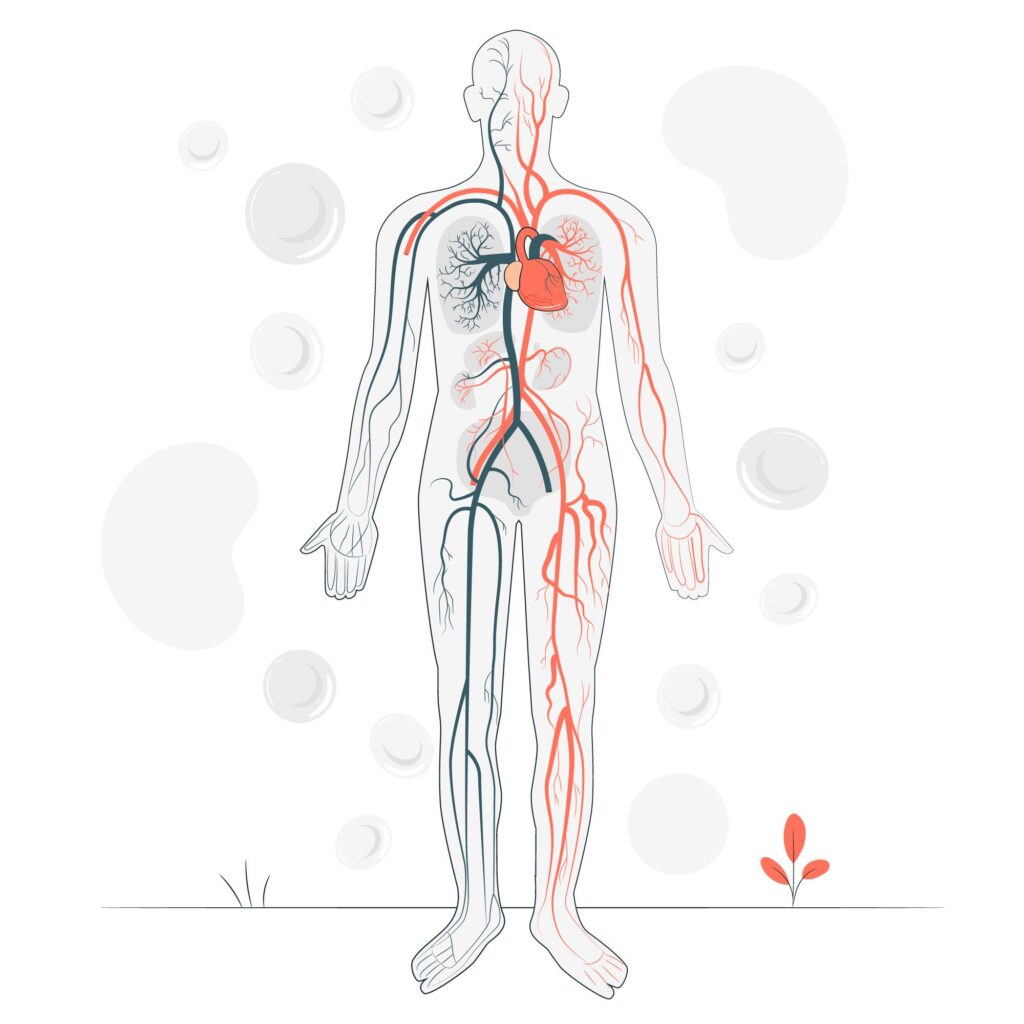 Lipoproteína – LP(A), um importante marcador de doença cardiovascular – por Vanessa Cardoso